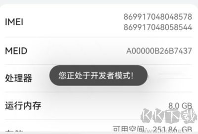 開發(fā)者選項(xiàng)在哪里打開 