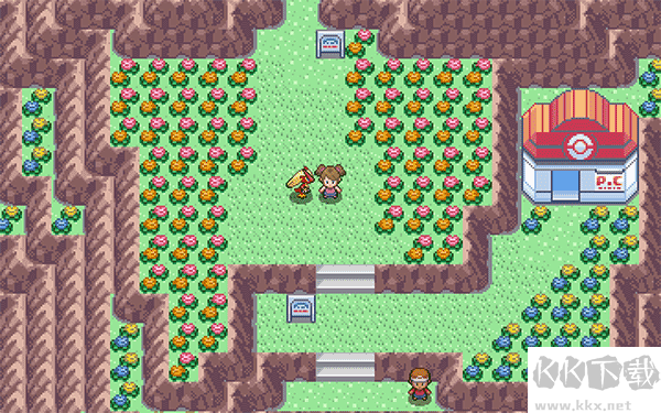 PokeMMO