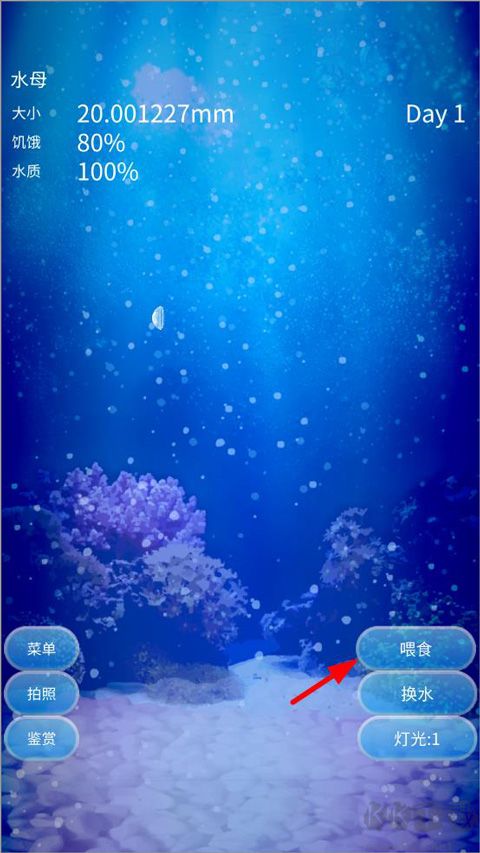 養育水母的治愈游戲官網版