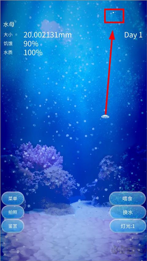 養育水母的治愈游戲官網版